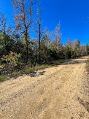 0 STONEHENGE DRIVE, WOODVILLE, TX 75979, photo 3 of 6