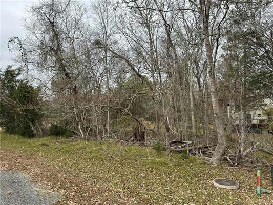 LOT 100 ELM COVE CIRCLE, COLDSPRING, TX 77331, photo 3 of 15