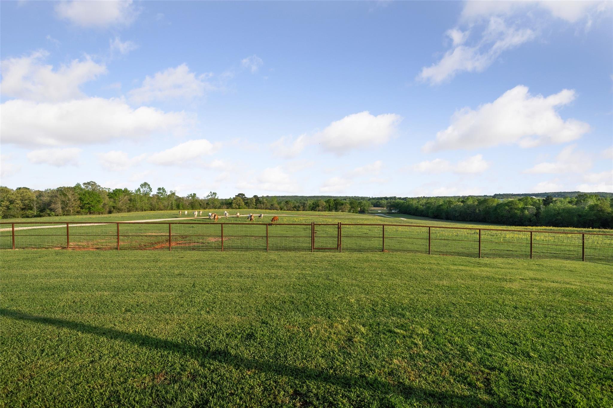 Centerville, Texas, 75833, United States, 6 Bedrooms Bedrooms, ,3 BathroomsBathrooms,Residential,Active,1862877