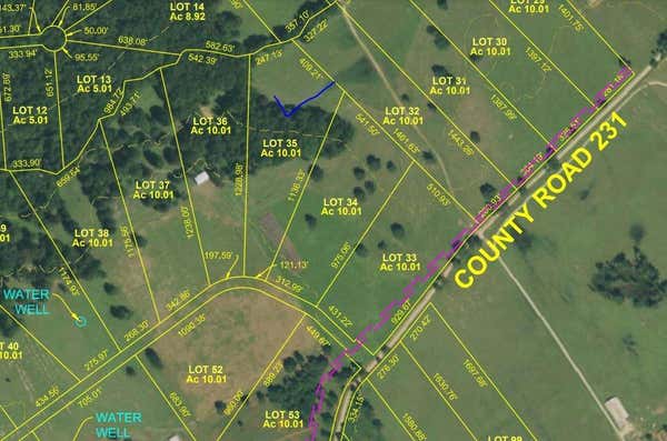 TBD COUNTY ROAD 231, CENTERVILLE, TX 75833 - Image 1