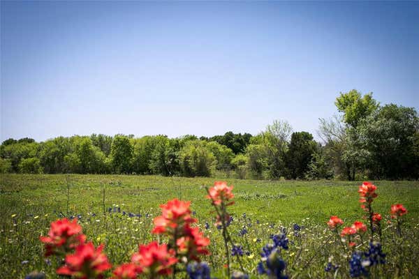 TRACT 2 CANEY CREEK ROAD, CHAPPELL HILL, TX 77426 - Image 1