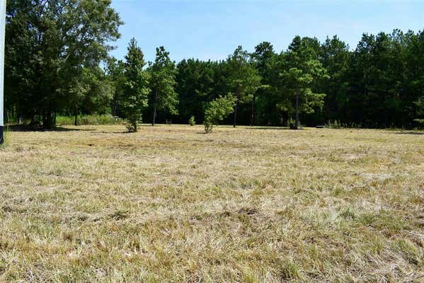 360 COUNTY ROAD 303, DAYTON, TX 77535 - Image 1