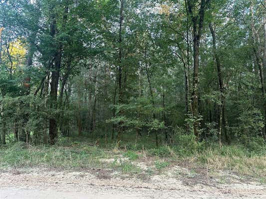 2103 JENKINS RD, COLDSPRING, TX 77331 - Image 1