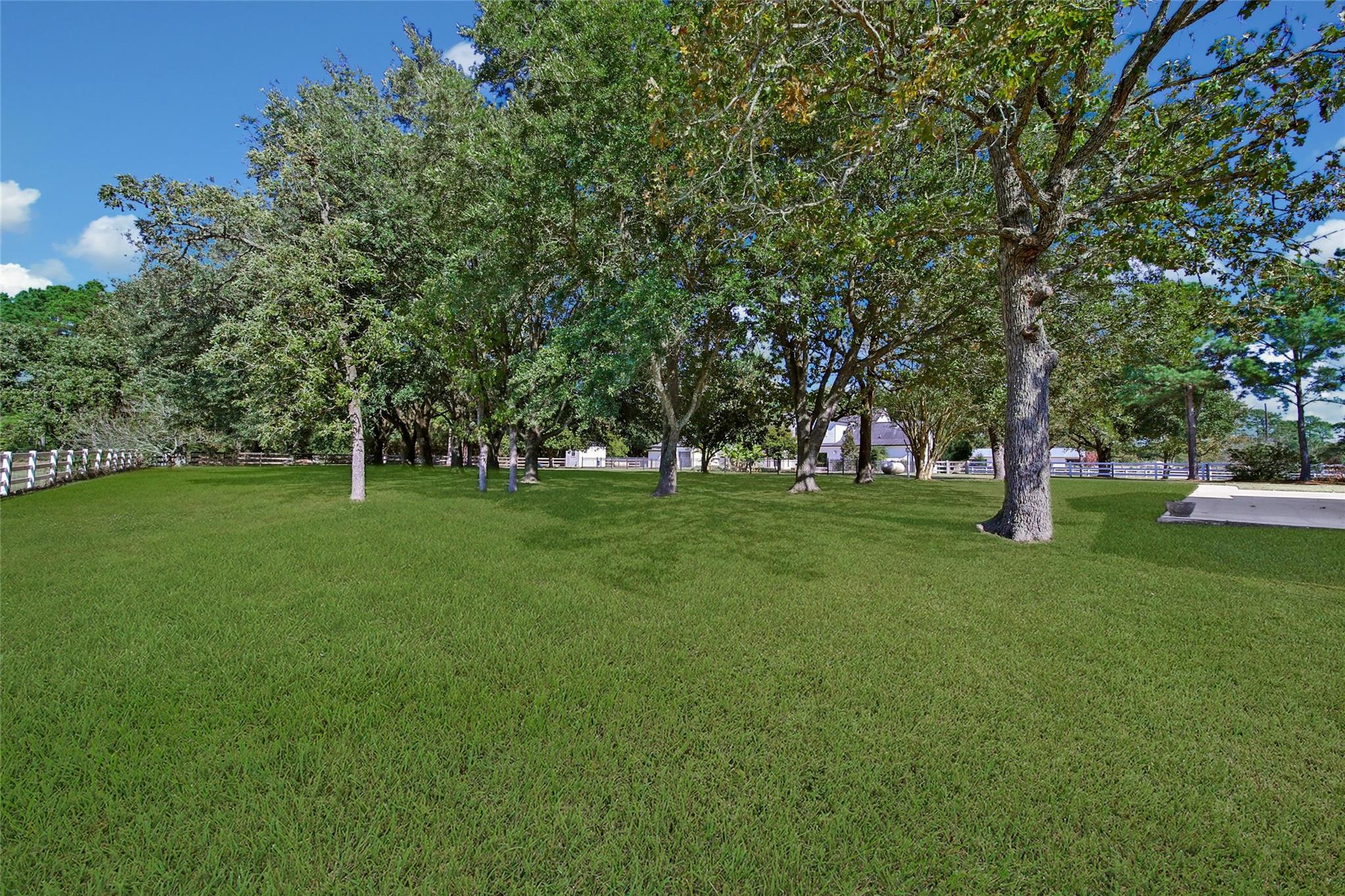 Magnolia, Texas, 77355, United States, 5 Bedrooms Bedrooms, ,3 BathroomsBathrooms,Residential,Active,2000195