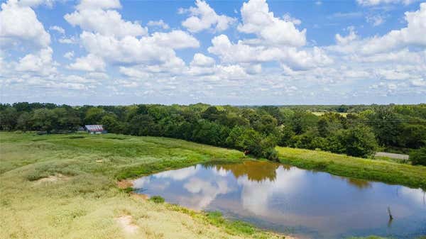 TBD FM 1362 N - 38 ACRES, CALDWELL, TX 77836 - Image 1