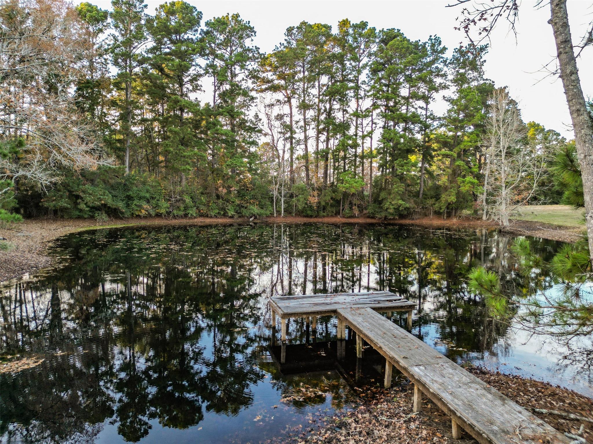 Trinity, Texas, 75862, United States, 3 Bedrooms Bedrooms, ,3 BathroomsBathrooms,Residential,Active,1998594