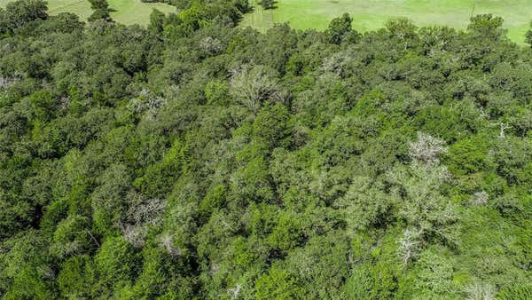 TBD COUNTY ROAD 309, CALDWELL, TX 77836, photo 5 of 16