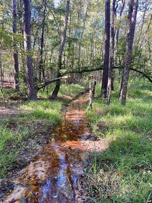 TBD CR 1190, KENNARD, TX 75844 - Image 1