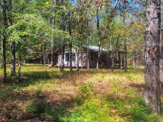 TBD COUNTY ROAD 2834, COLMESNEIL, TX 75938, photo 5 of 6