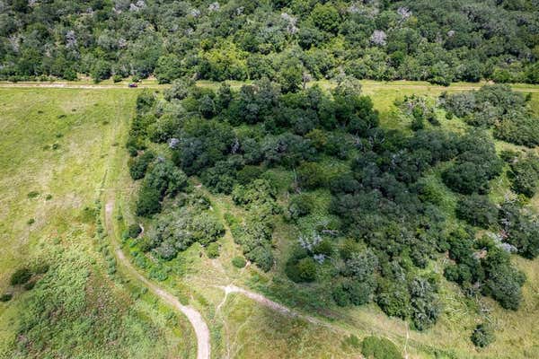 41.5 ACRES COUNTY ROAD 18, HALLETTSVILLE, TX 77964, photo 4 of 19