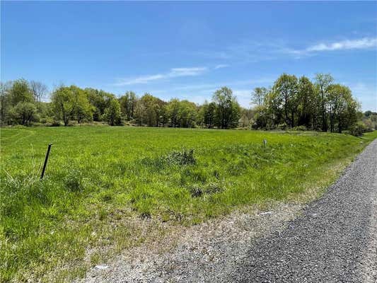 CO HWY 14 (STATE ROUTE 55), BETHEL, NY 12720, photo 5 of 6