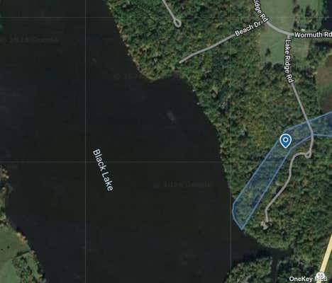 31 LAKE RIDGE RD, WHITE LAKE, NY 12786 - Image 1