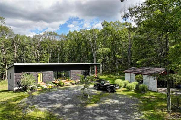 215 CUSHETUNK DR, NARROWSBURG, NY 12764 - Image 1