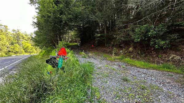 WARD BROWER JR DR LOT 15-2, BARRYVILLE, NY 12719 - Image 1