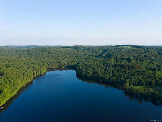 LOT 42 KENOZA TRAIL, KENOZA LAKE, NY 12750, photo 4 of 8