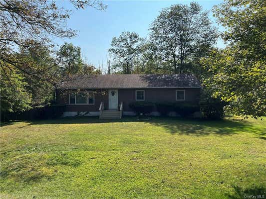 320 PETTICOAT LN, BLOOMINGBURG, NY 12721 - Image 1