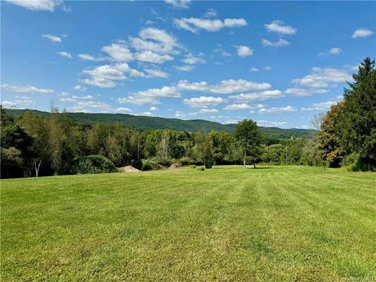 8 YELLOW CITY RD, AMENIA, NY 12501 - Image 1