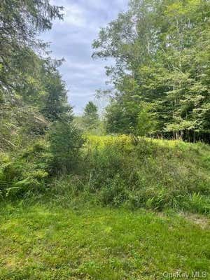 16 HIGH ST, LIVINGSTON MANOR, NY 12758 - Image 1