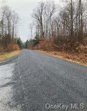 BIG WOODS ROAD, HARRIS, NY 12472 - Image 1