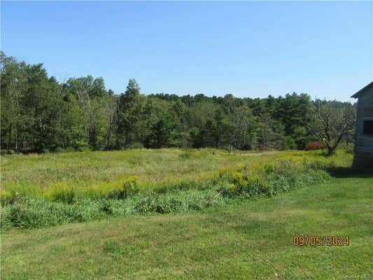 1372 STATE ROUTE 42, SPARROWBUSH, NY 12780 - Image 1