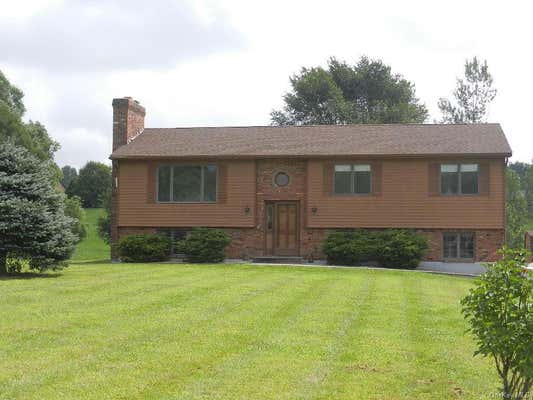 6 MILLERS LN, WINGDALE, NY 12594 - Image 1