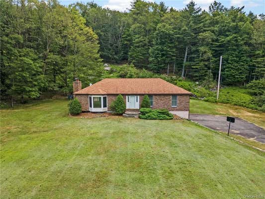 468 COUNTY ROAD 22, NARROWSBURG, NY 12764 - Image 1