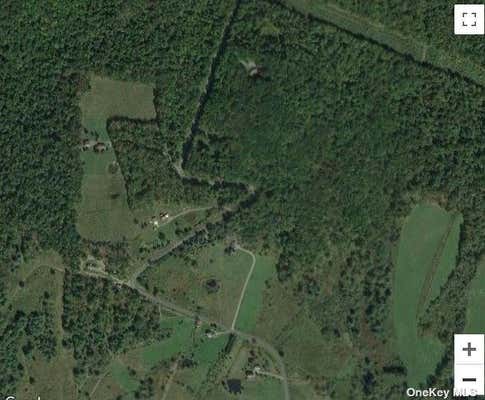 LOT 52 HOUCK DRIVE, BAINBRIDGE, NY 13733 - Image 1