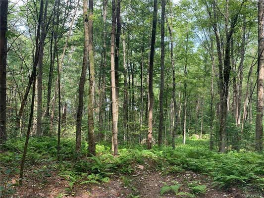 LOT 42 KENOZA TRAIL, KENOZA LAKE, NY 12750, photo 5 of 8