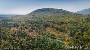 120 HIGH RIDGE VILLA RD, PURLING, NY 12470 - Image 1