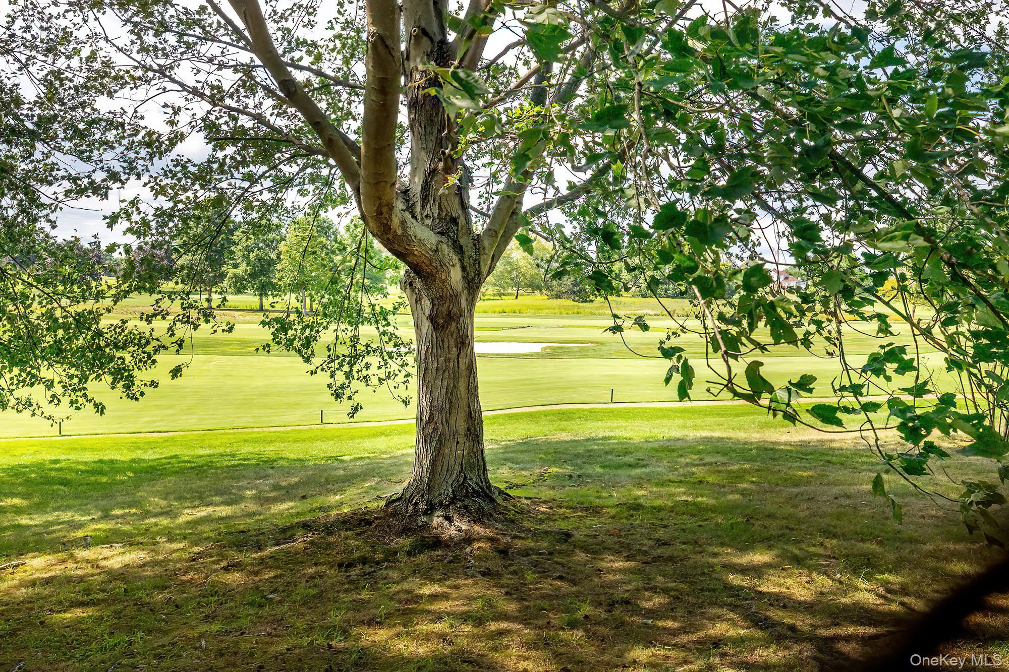 Rye Brook, New York, 10573, United States, 4 Bedrooms Bedrooms, ,3 BathroomsBathrooms,Residential,Active,1934791