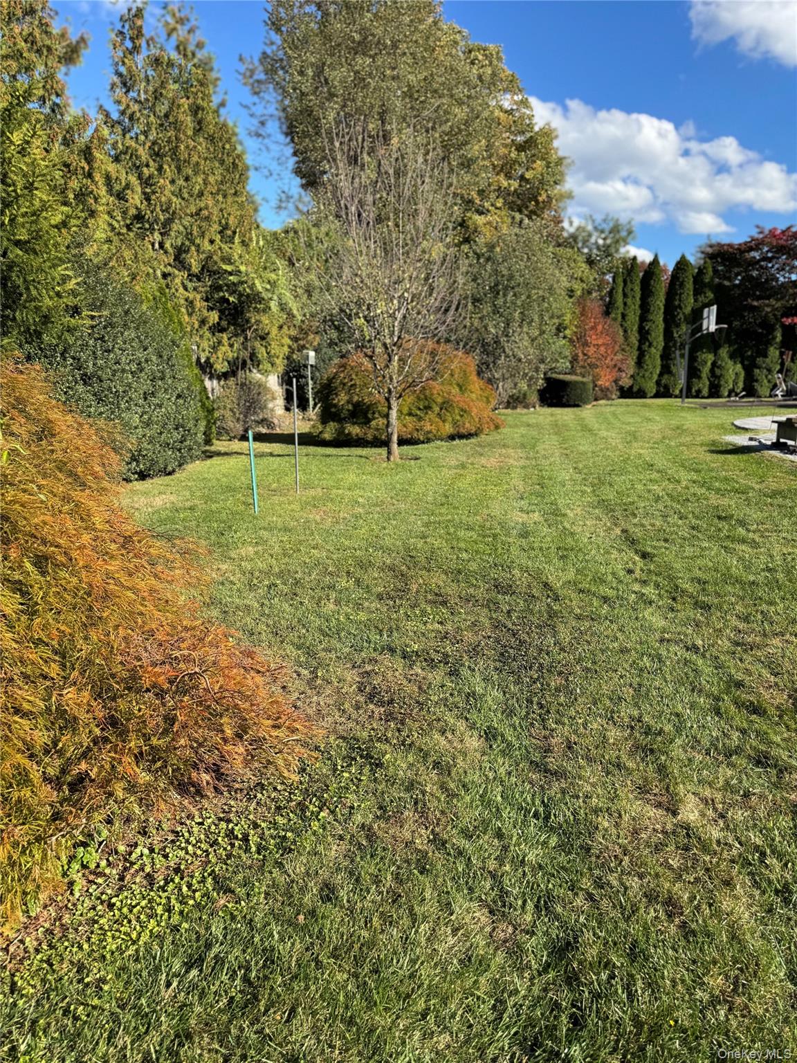 Scarsdale, New York, 10583, United States, 6 Bedrooms Bedrooms, ,4 BathroomsBathrooms,Residential,Active,1965841