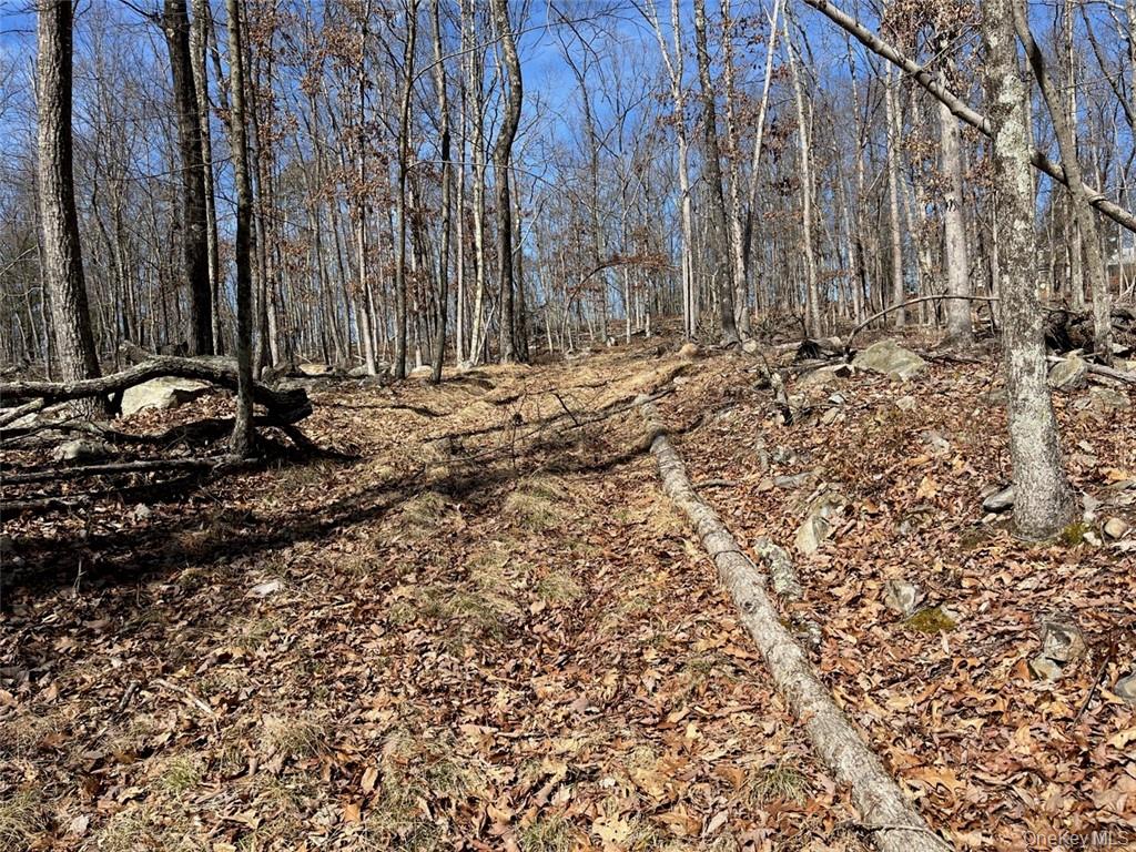 Port Jervis, New York, 12771, United States, 2 Bedrooms Bedrooms, ,4 BathroomsBathrooms,Residential,Active,1726818