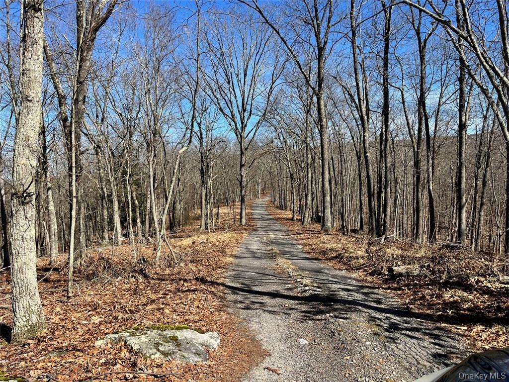 Port Jervis, New York, 12771, United States, 2 Bedrooms Bedrooms, ,4 BathroomsBathrooms,Residential,Active,1726818