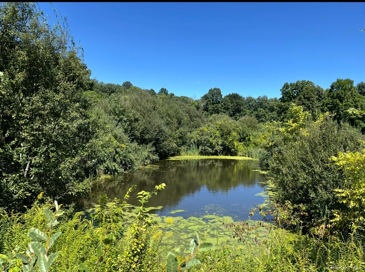 Mahopac, New York, 10541, United States, 4 Bedrooms Bedrooms, ,6 BathroomsBathrooms,Residential,Active,1945090