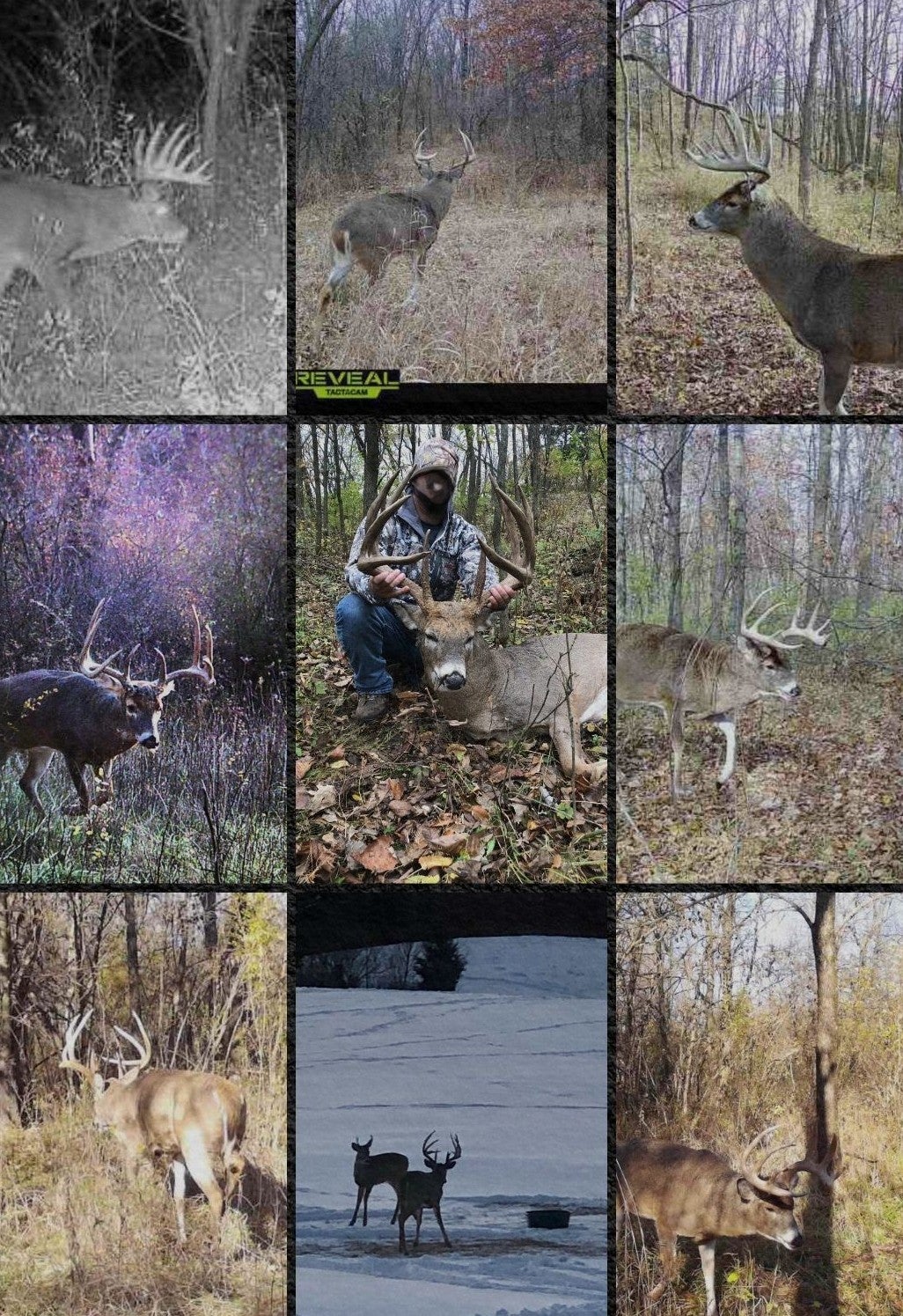 Redfield, Iowa, 50233, United States, 4 Bedrooms Bedrooms, ,3 BathroomsBathrooms,Residential,Active,1993624