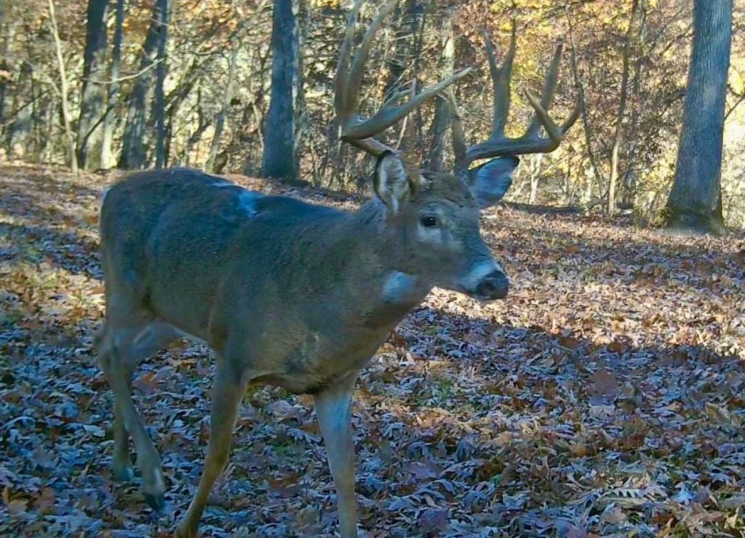 Adel, Iowa, 50003, United States, 3 Bedrooms Bedrooms, ,2 BathroomsBathrooms,Residential,Active,2009856