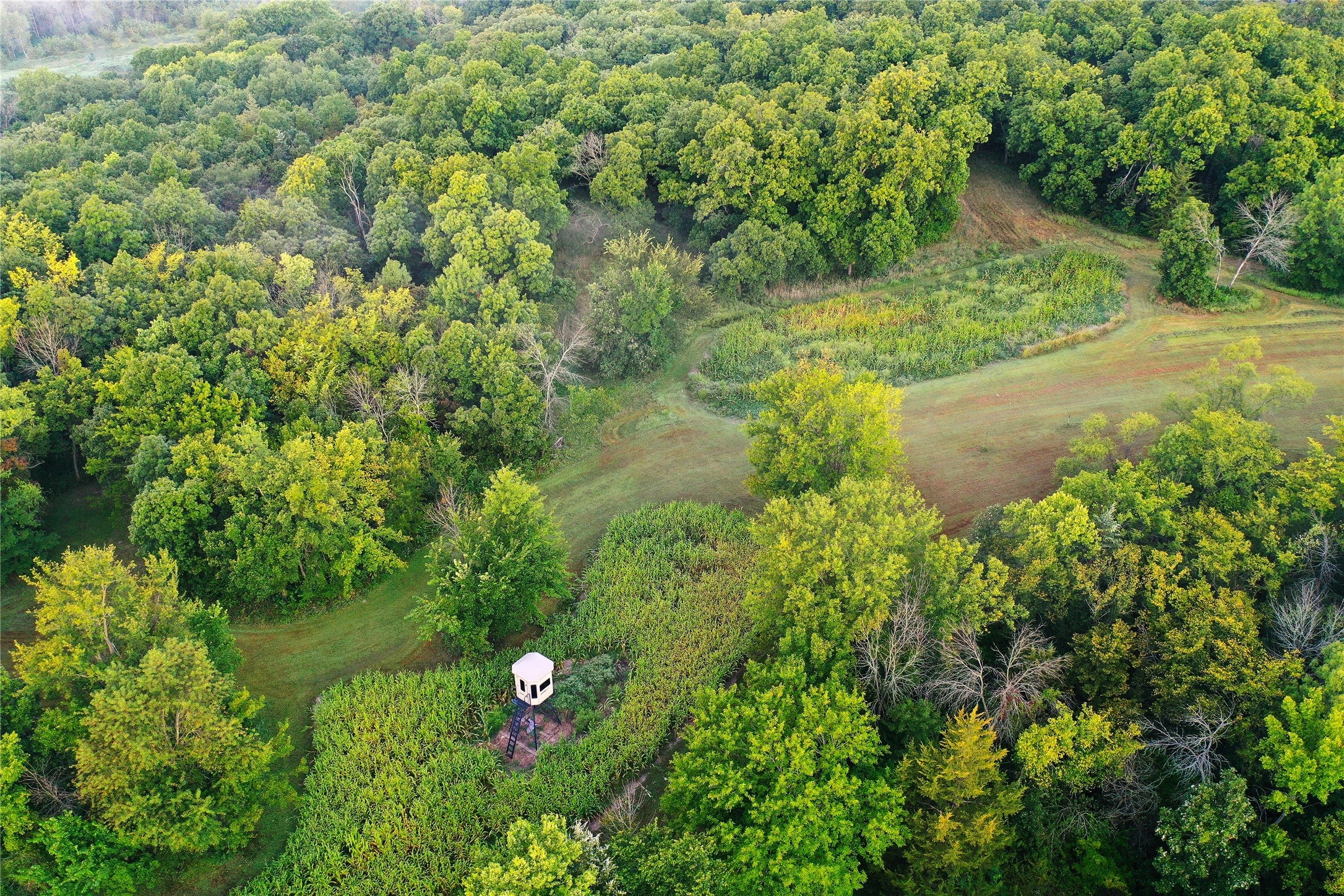 Redfield, Iowa, 50233, United States, 4 Bedrooms Bedrooms, ,3 BathroomsBathrooms,Residential,Active,1993624