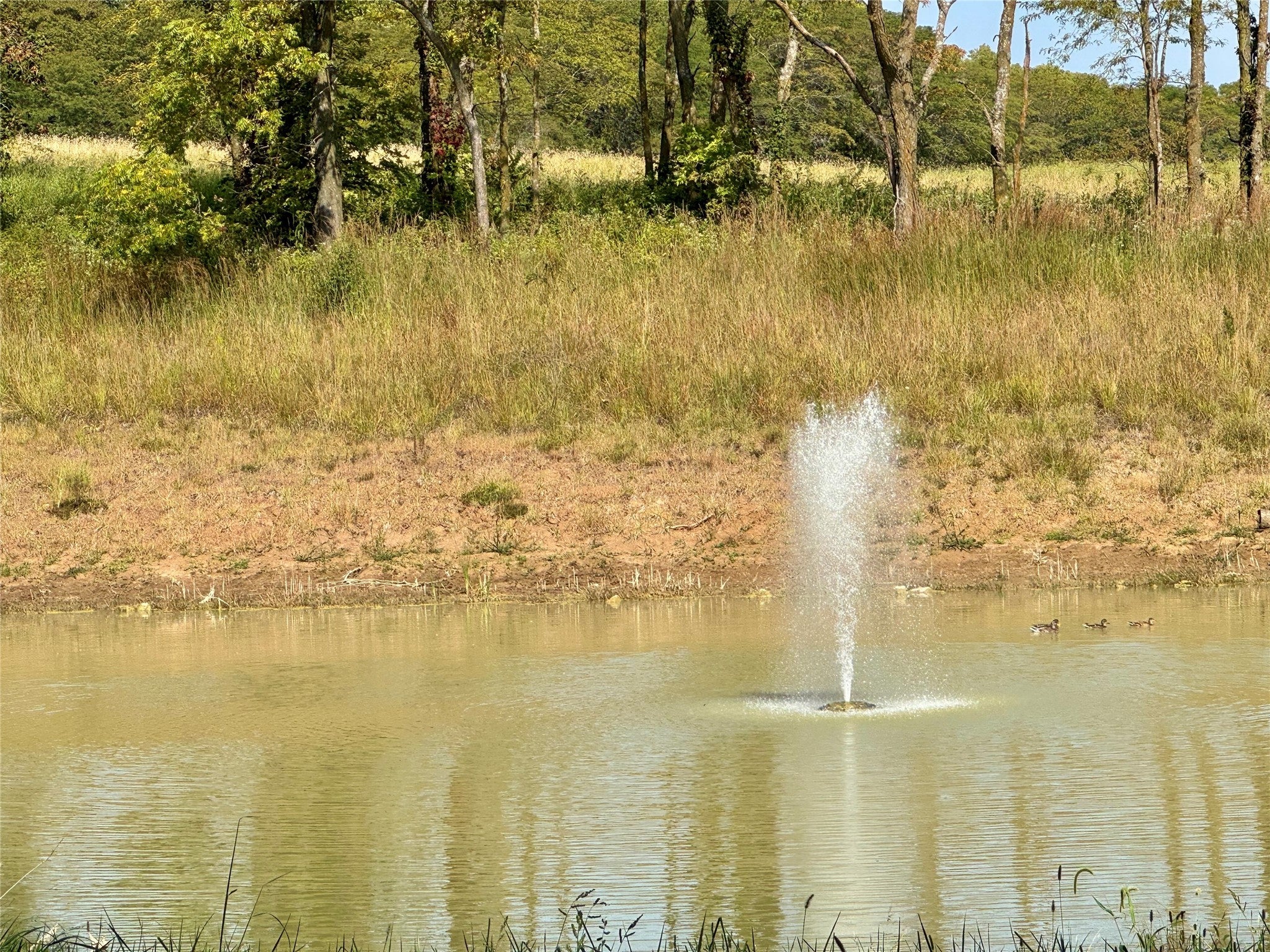 West Des Moines, Iowa, 50266, United States, 4 Bedrooms Bedrooms, ,4 BathroomsBathrooms,Residential,Active,2003556
