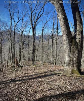 1136 POND FORK RD, MADISON, WV 25130 - Image 1