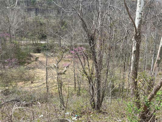 TBD LITTLE COAL RIVER ROAD, ALUM CREEK, WV 25501, photo 3 of 19