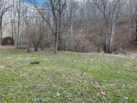 00 TRIBBLE RIDGE ROAD, LEON, WV 25123, photo 4 of 26