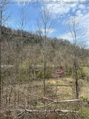 TBD LITTLE COAL RIVER ROAD, ALUM CREEK, WV 25501, photo 4 of 19