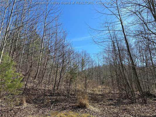 0 ACADIA LANE, CHARLESTON, WV 25311, photo 3 of 3