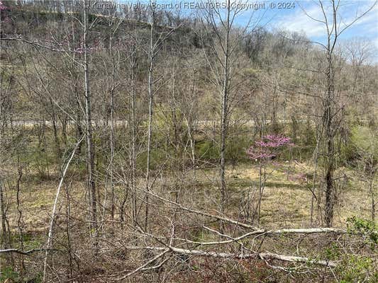 TBD LITTLE COAL RIVER ROAD, ALUM CREEK, WV 25501, photo 5 of 19