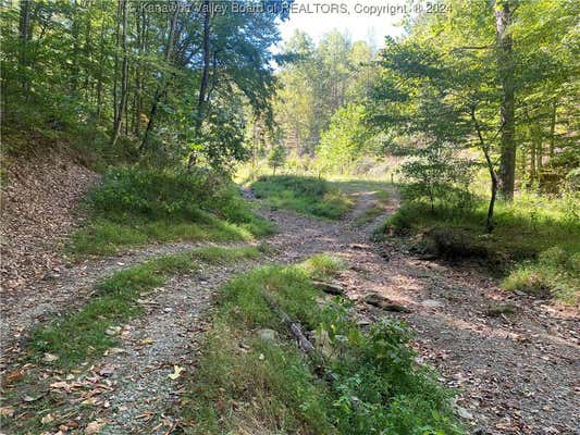 0 MAUL FORK, GRIFFITHSVILLE, WV 25521 - Image 1