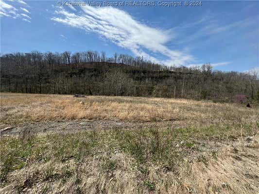 TBD LITTLE COAL RIVER ROAD, ALUM CREEK, WV 25501 - Image 1