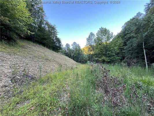 TBD ARDEN LANE, DANVILLE, WV 25053 - Image 1