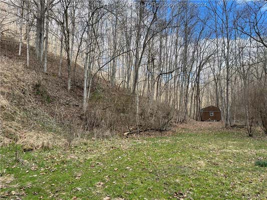 00 TRIBBLE RIDGE ROAD, LEON, WV 25123, photo 2 of 26