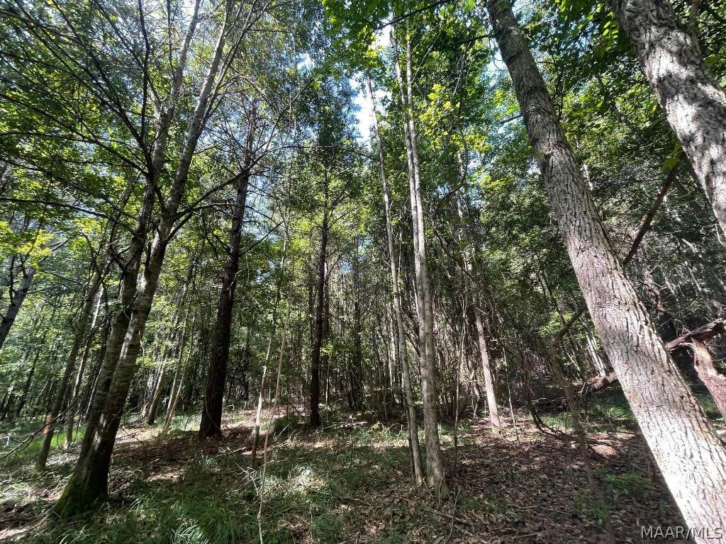 30 HIGHWAY 29, UNION SPRINGS, AL 36089, photo 1 of 8