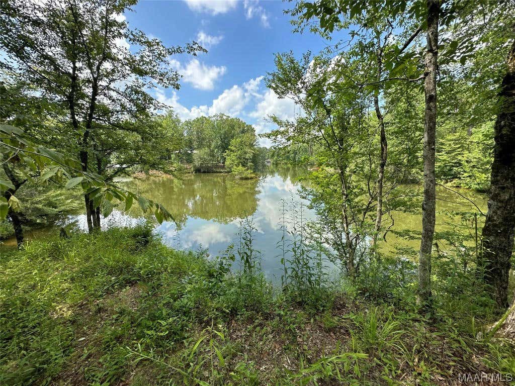 38 RED EAGLE DR, LOWNDESBORO, AL 36752, photo 1 of 15